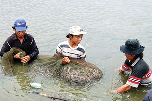 Kl99kl phiên bản hoạt động nông nghiệp nặng gánh rủi ro